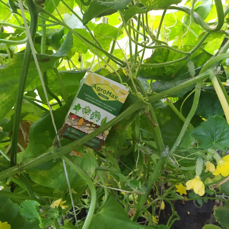 Упаковка удобрения Агромакс в кустах огурцов