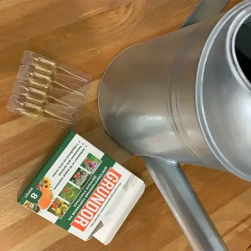 Упаковка и ампулы средства Грундор рядом с лейкой