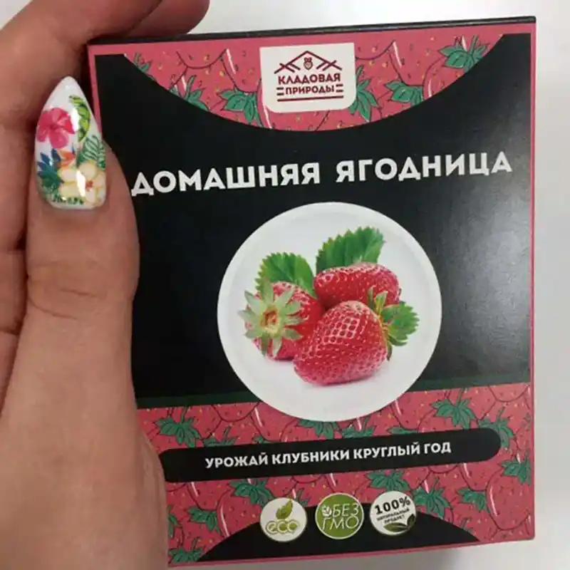 Рука держит упаковку домашней ягодницы