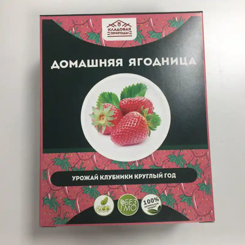 Коробка ягодницы Кладовая природы лежит на столе