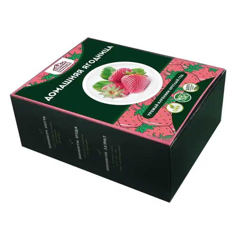 Коробка домашней ягодницы лежит