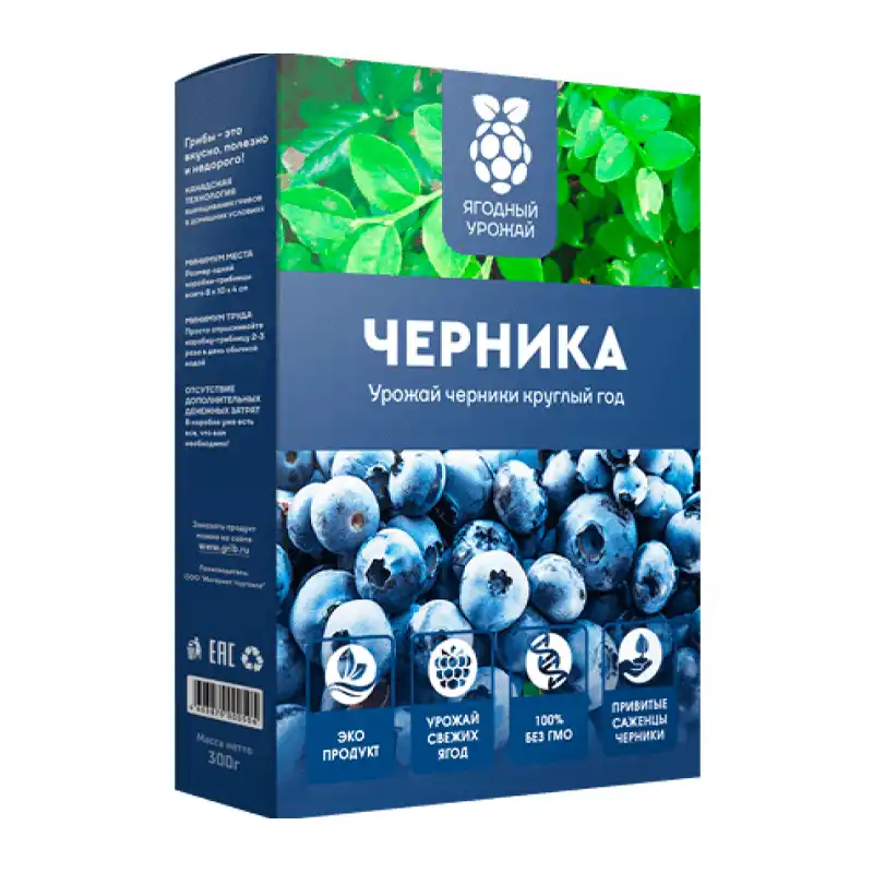 Домашняя ягодница черники Ягодный урожай упаковка
