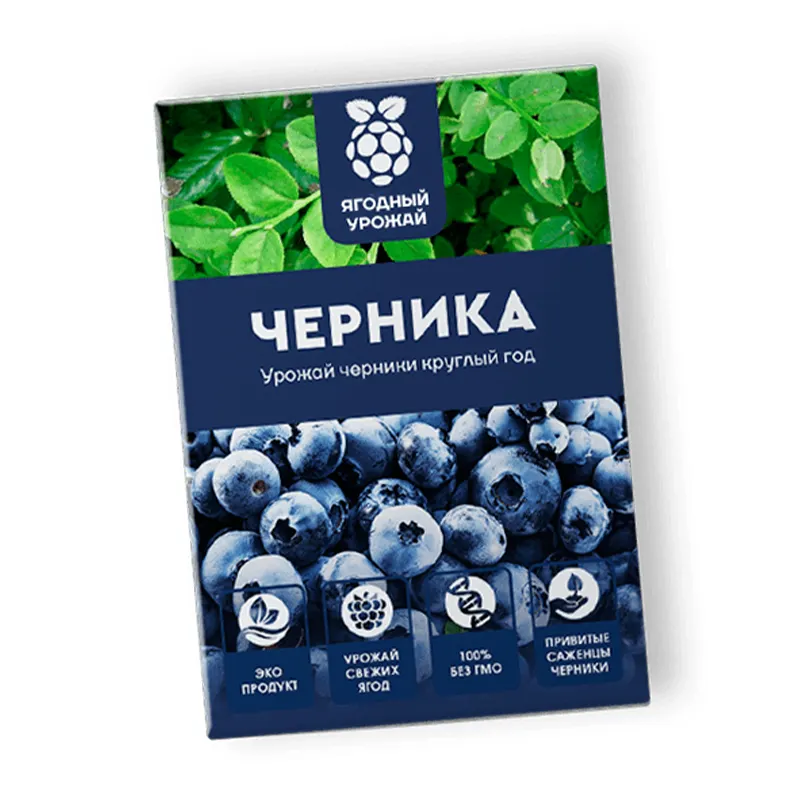 Домашняя ягодница черники Ягодный урожай лежит на столе