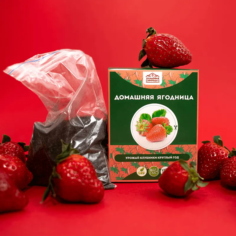 Домашняя ягодница клубники среди клубники на красном фоне