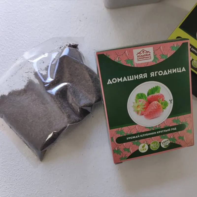Пакет с рассадой и грунтом домашней ягодницы клубники