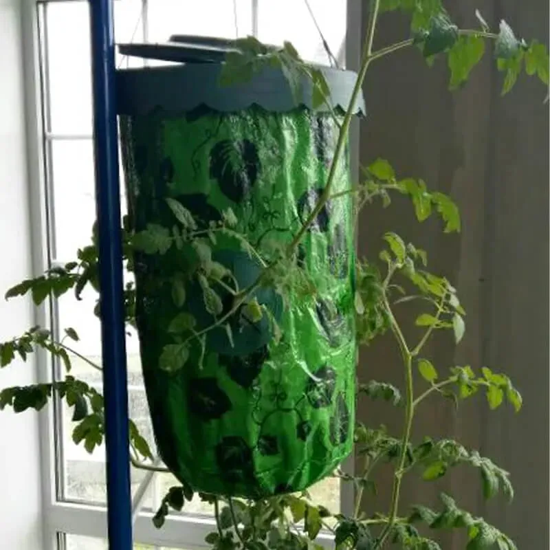 Грядка "Здоровый урожай" висит в комнате