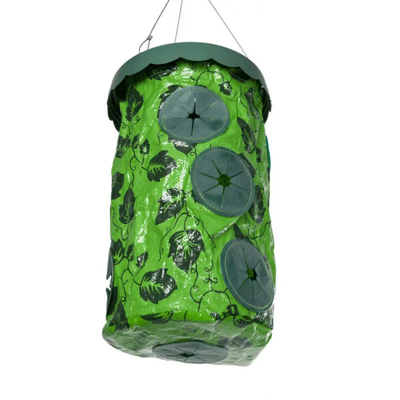 Подвесная грядка "Здоровый урожай" крупный план