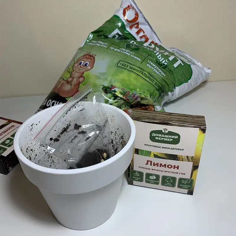 Пакет с грунтом и семенами домашнего лимона