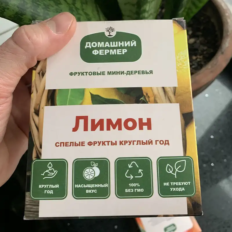 Упаковка с семенами домашнего мини-лимона