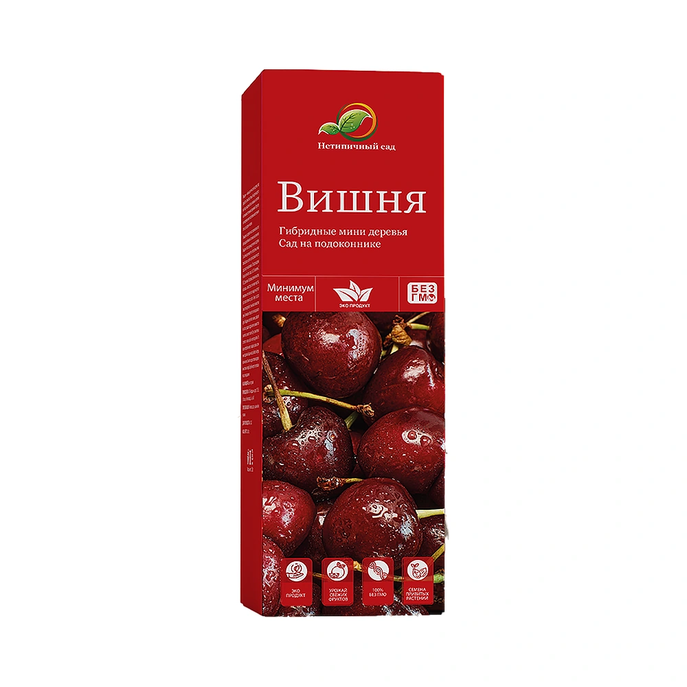 Упаковка с набором для выращивания домашнего дерева вишни