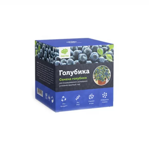 Домашняя голубика Денис Блю
