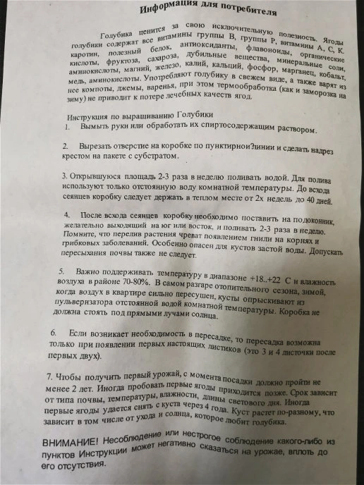 Инструкция к домашней голубики Денис Блю