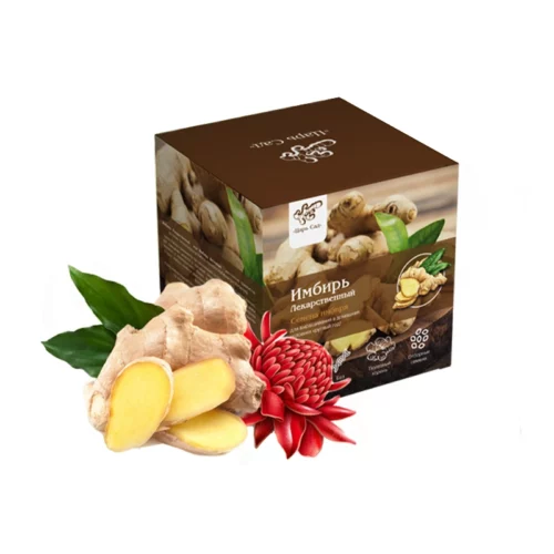 Семена имбиря Царь Сад