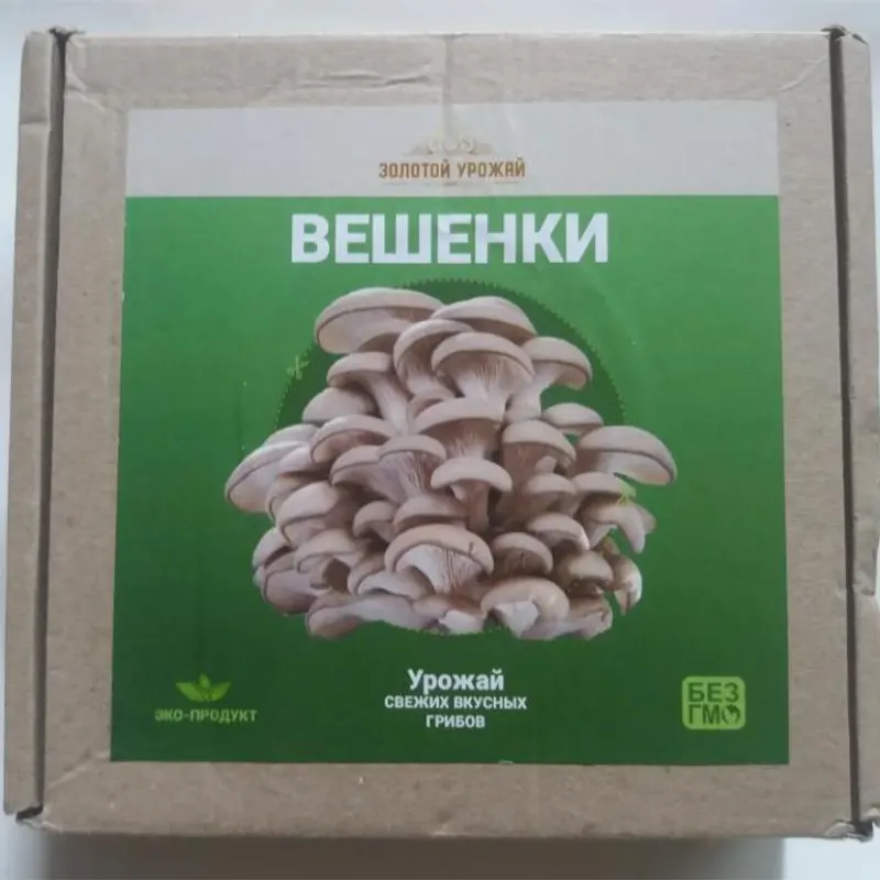 Упаковка домашней грибницы вид близко
