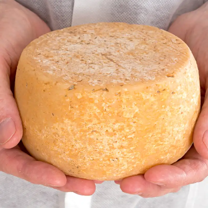 Сыр из закваски Сырная закваска Cheese Meridian