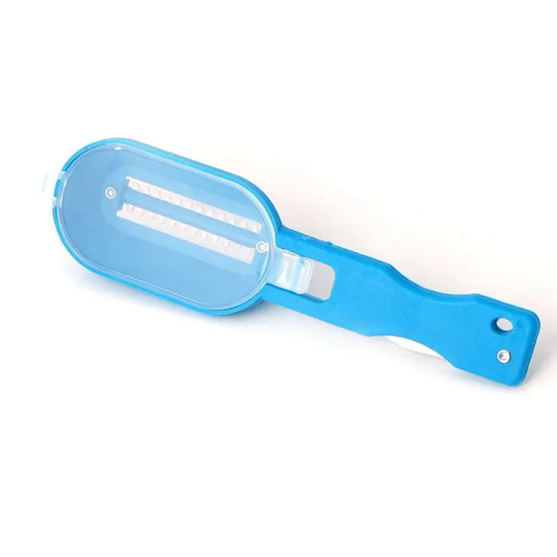 Голубая рыбочистка Cleanfish лежит на боку