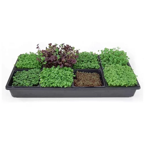 Набор для выращивания микрозелени