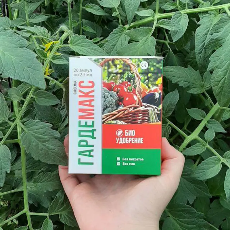 Рука держит упаковка Гардемакса на фоне кустов помидоров
