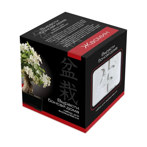 Набор для выращивания жасмина бонсай