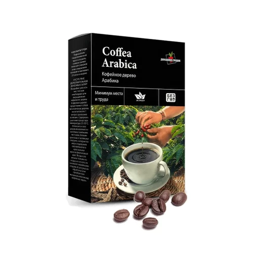 Упаковка с набором для выращивания домашнего кофейного дерева