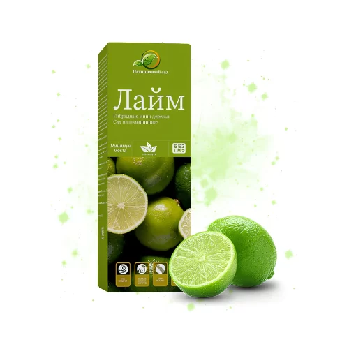 Упаковка с семенами лайма мини дерева