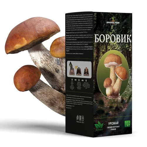 Упаковка с набором для выращивания боровиков и боровики на заднем фоне